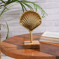 Seashell with Wooden Base Décor