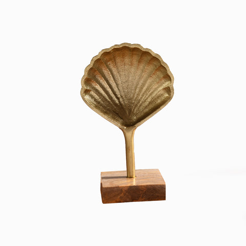 Seashell with Wooden Base Décor